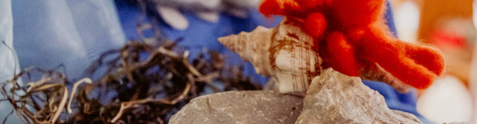 Troxler-Haus_Kindergarten_Web_Malis_0067