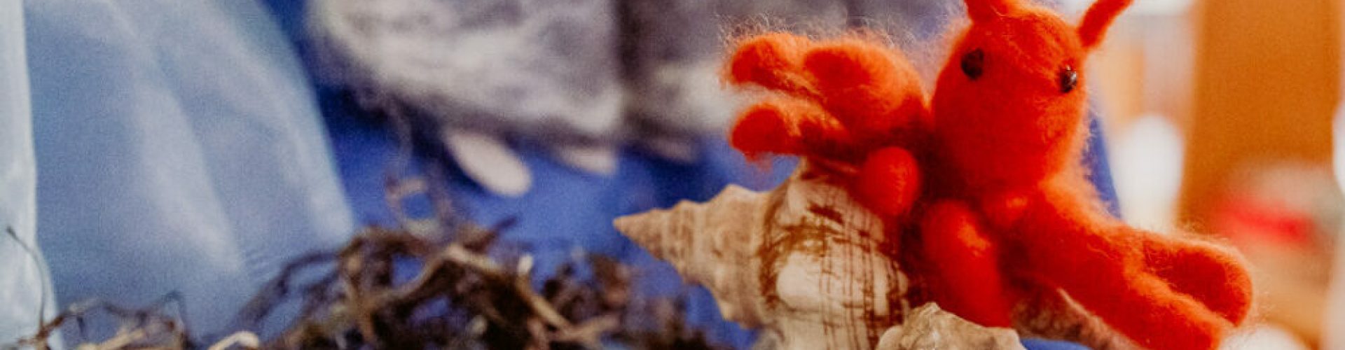 Troxler-Haus_Kindergarten_Web_Malis_0067